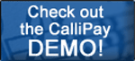 Check out the CalliPay Demo!